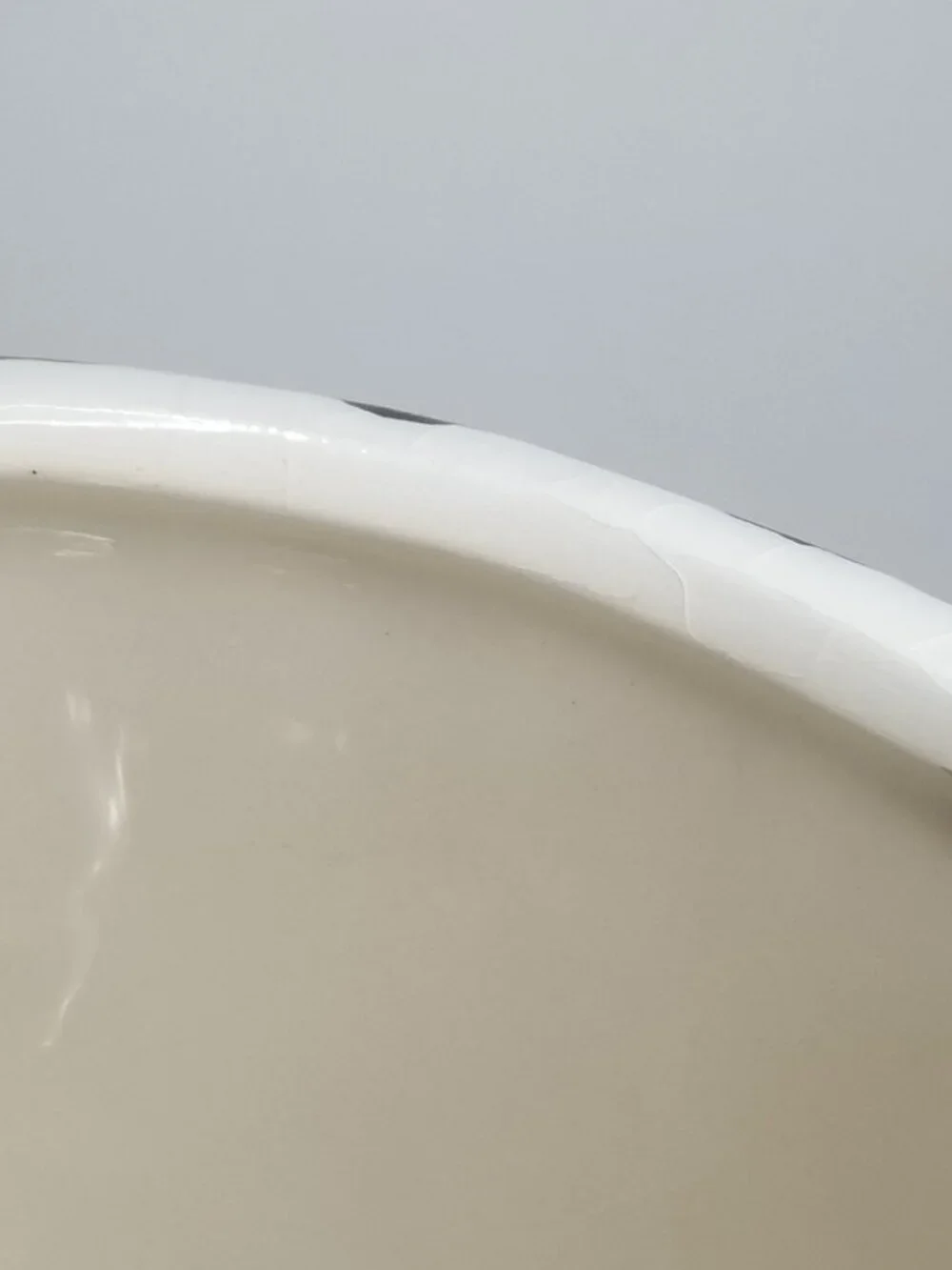 Pier 1 Imports Zebra Body Hand Painted Dolomite Mug - Limited Retired Design
